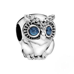 Σύμβολο Κουκουβάγια ασήμι 925